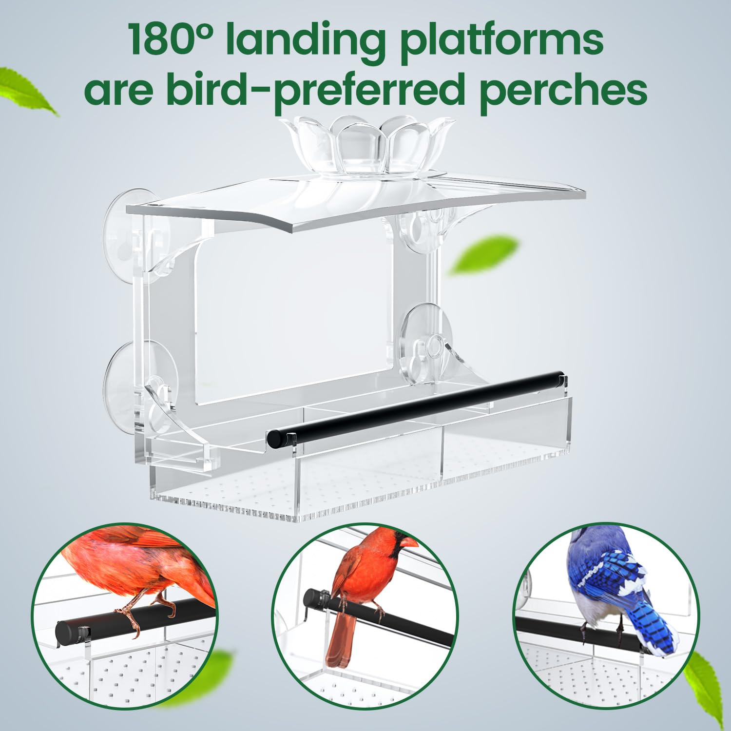 DY-SKTY removable bird bath enhances outdoor bird watching and hydration.