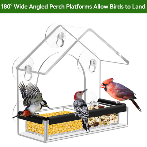 Observing garden birds from indoors, a perfect window-viewing experience.