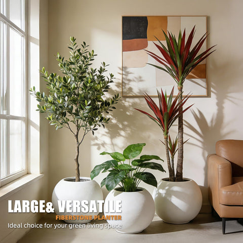 DYCYRQ frost-resistant planter thrives in sun, frost, and rain.