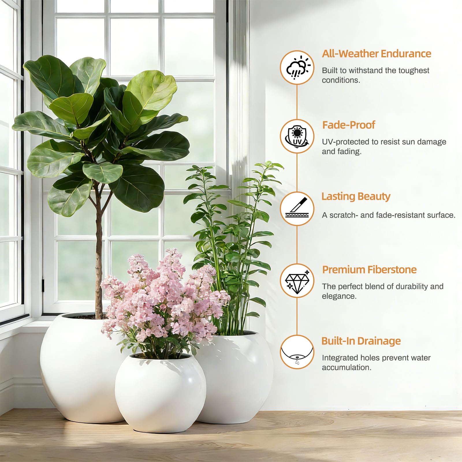DYCYRQ large 17-inch diameter supports tall plants and palms.