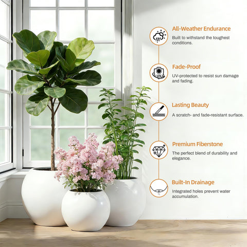 DYCYRQ large 17-inch diameter supports tall plants and palms.
