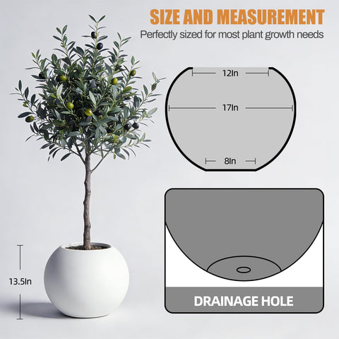 DYCYRQ planter with built-in drainage hole supporting healthy watering management.