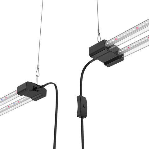 DYMOND BoostGro LED daisy-chain connection enabling scalable multi-light arrangements.