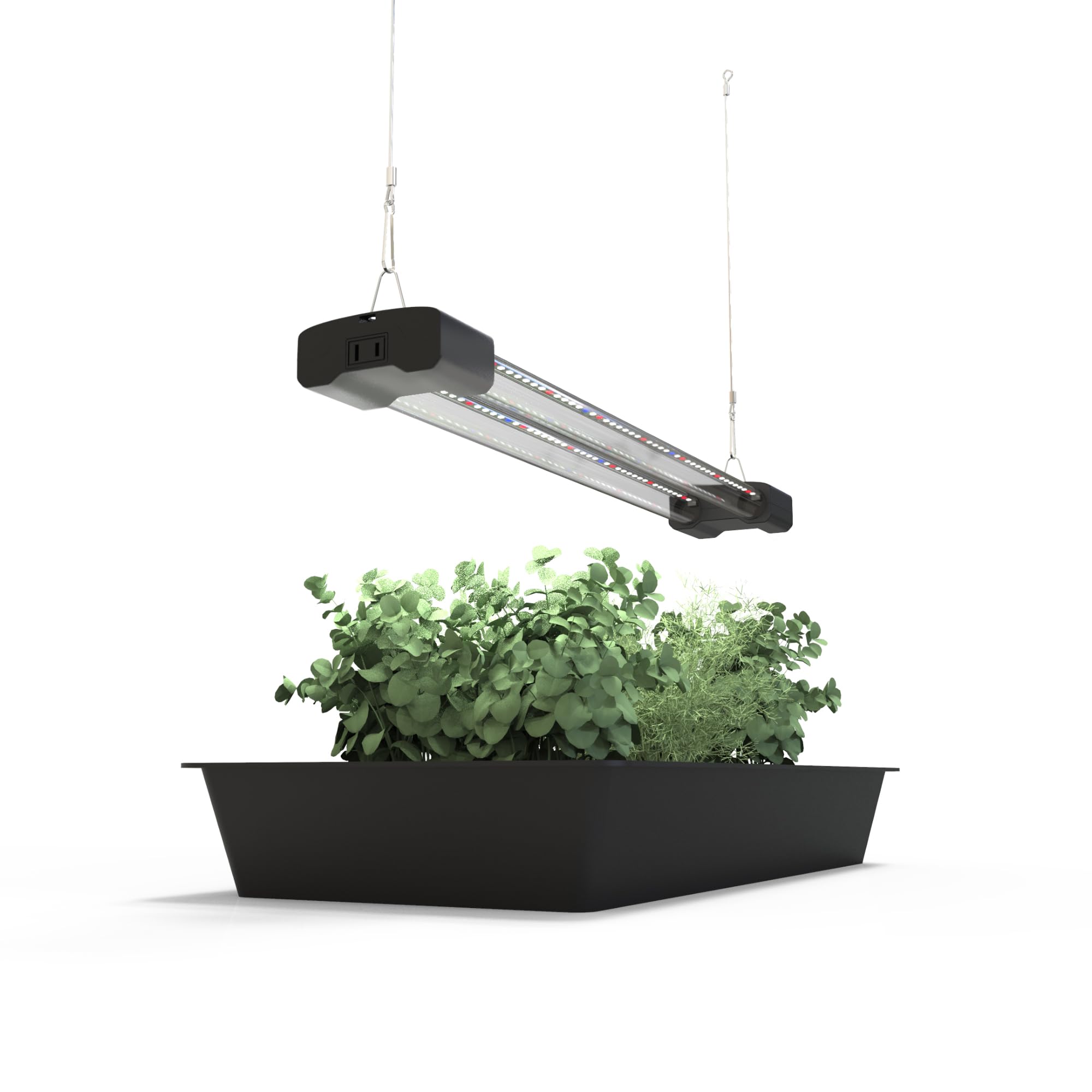 DYMOND BoostGro LED close-up shows blue and red lights for seedling development.