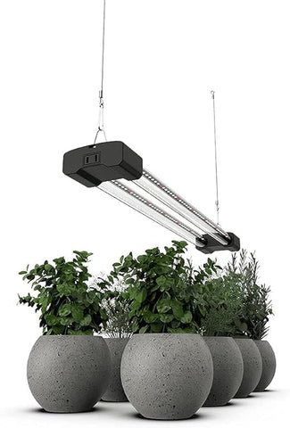 DYMOND BoostGro highlights 5000K daylight with 660nm red for thriving indoor plants