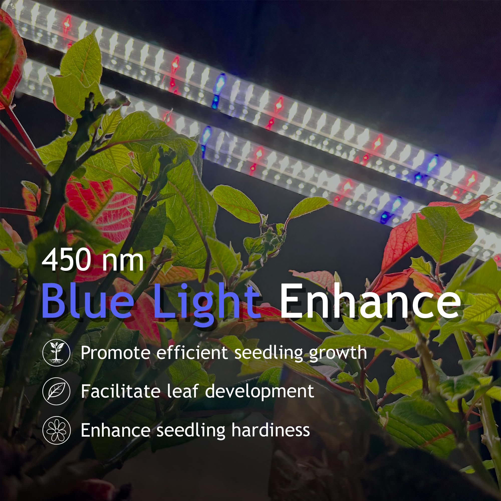DYMOND BoostGro LED in indoor garden setup provides stable growth lighting.