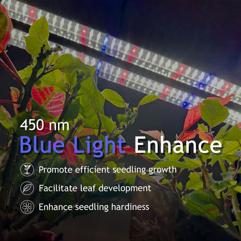 DYMOND BoostGro LED in indoor garden setup provides stable growth lighting.