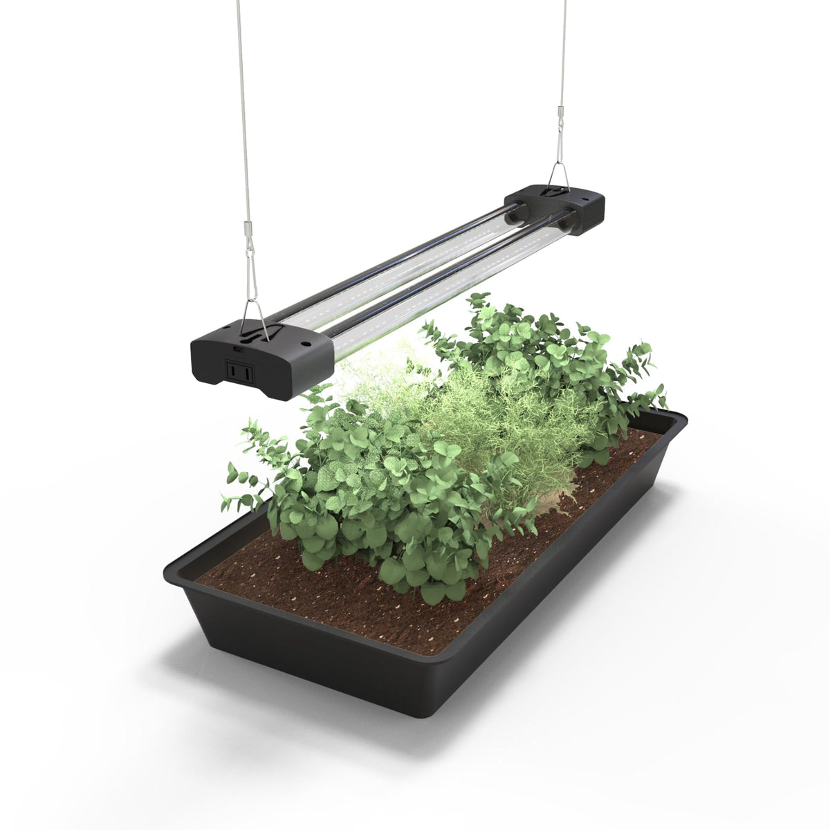 DYMOND BoostGro LED seedling light panel front boosts early growth with full spectrum.
