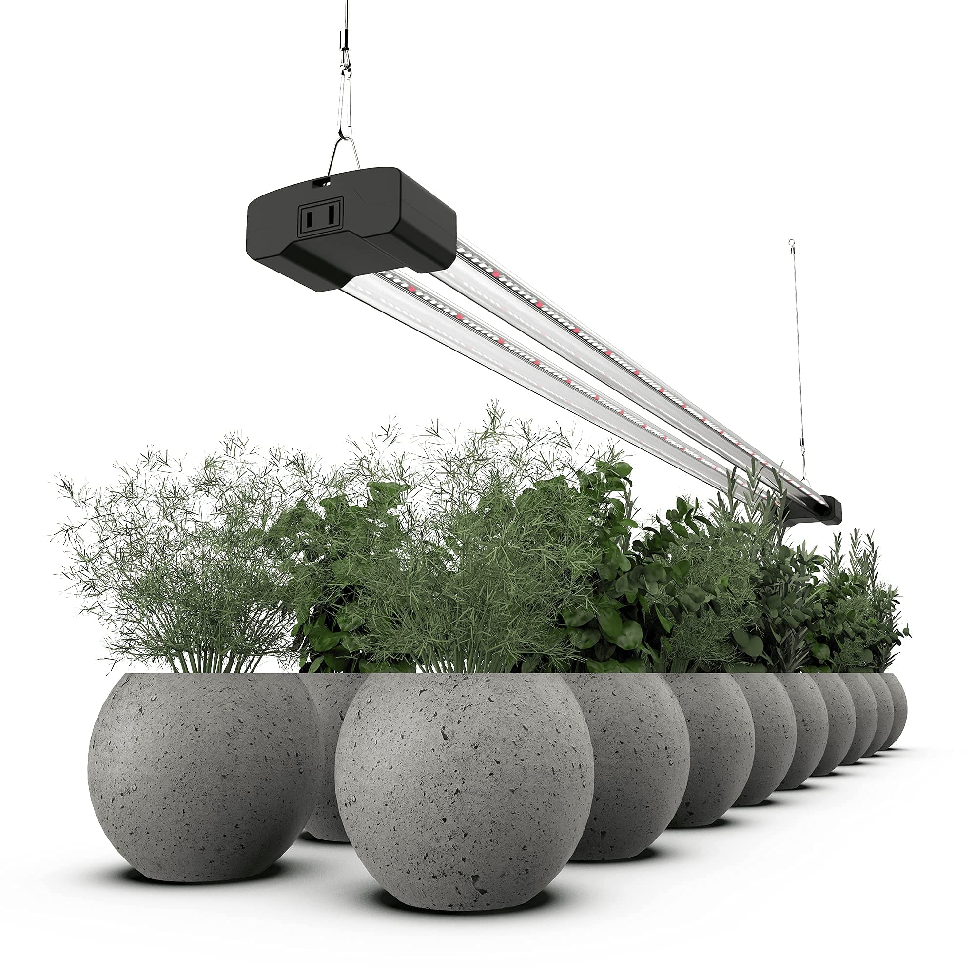 DYMOND BoostGro red-light enhancement boosts sprouting and flowering for vibrant blooms.