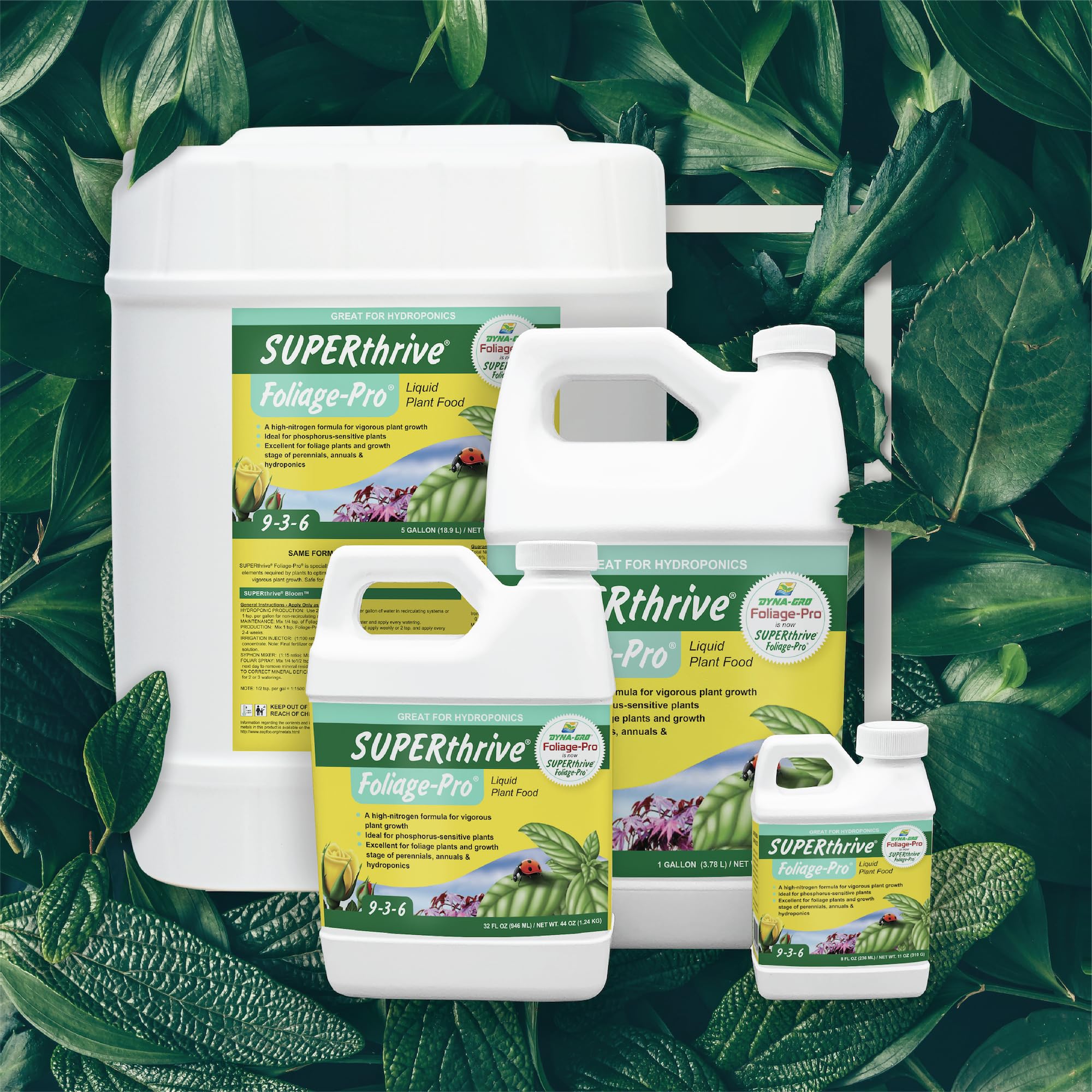 Dyna-Gro Foliage-Pro green vibrant leaves showing vitality.