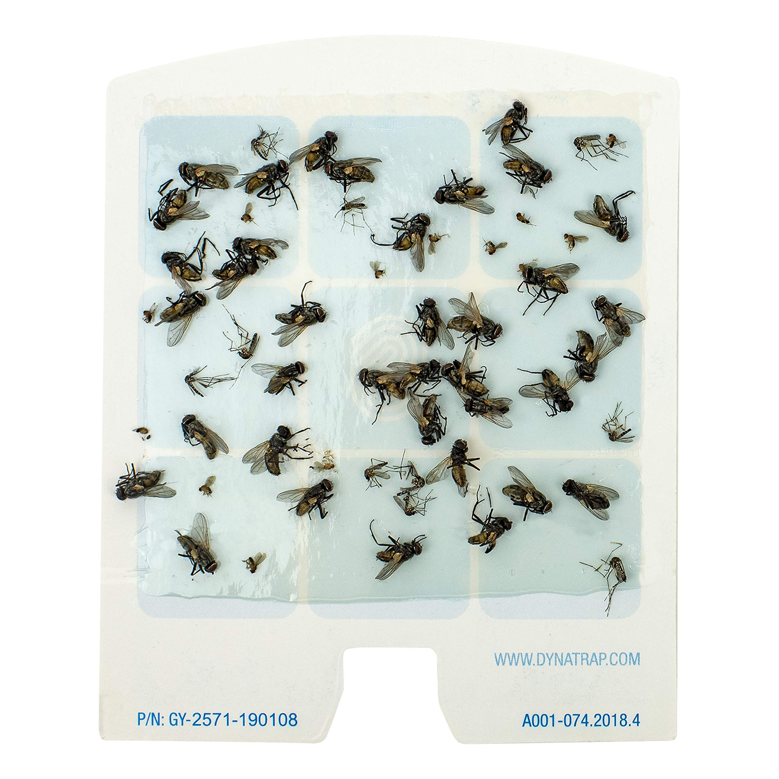 Easy installation of replacement cards into the DOT trap.
