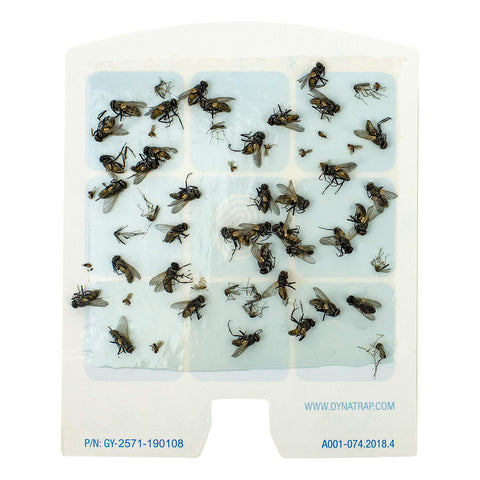 Easy installation of replacement cards into the DOT trap.