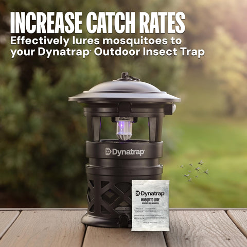 60-day lifespan supports ongoing outdoor attraction.