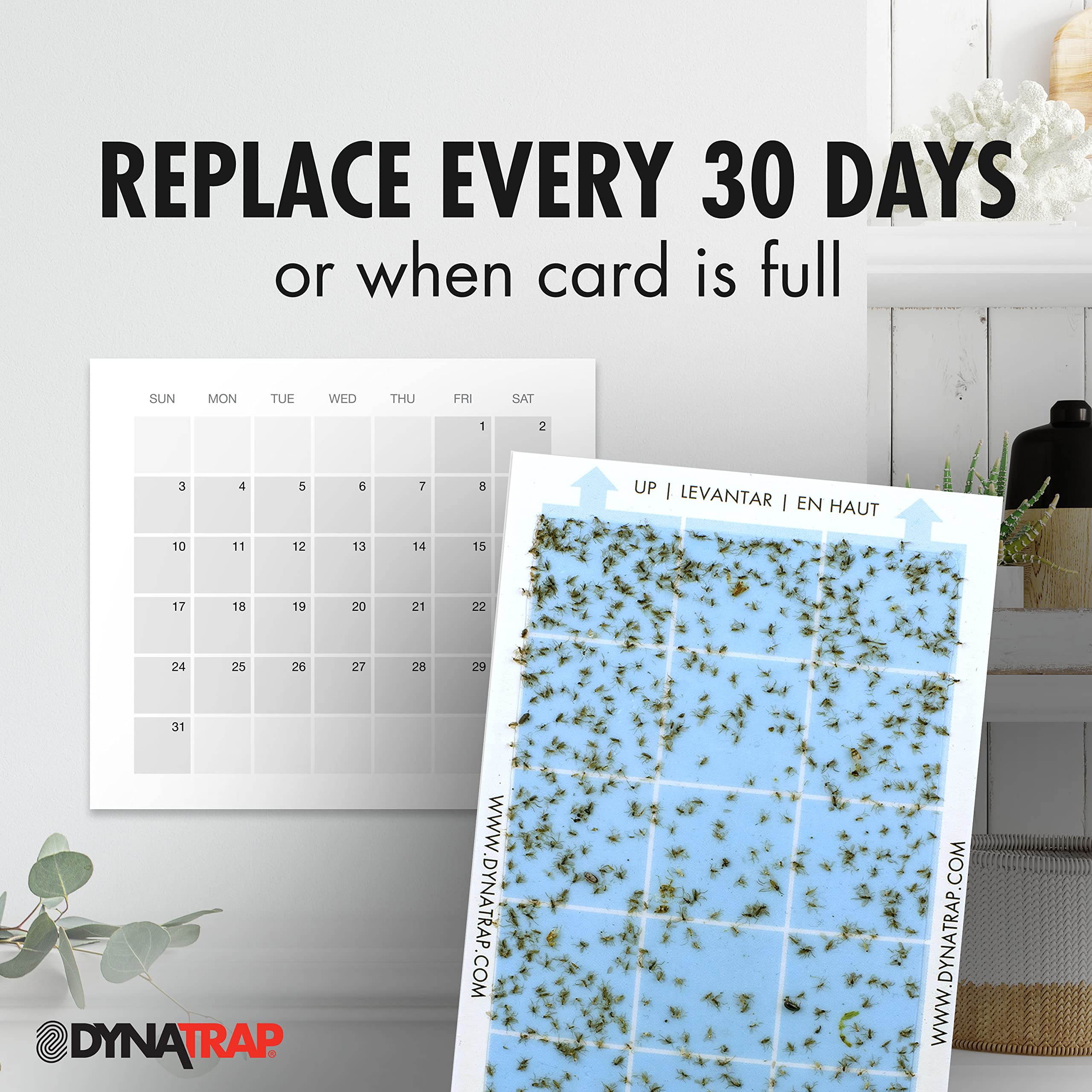 DynaTrap StickyTech glue card hidden behind decorative cover keeps décor intact.