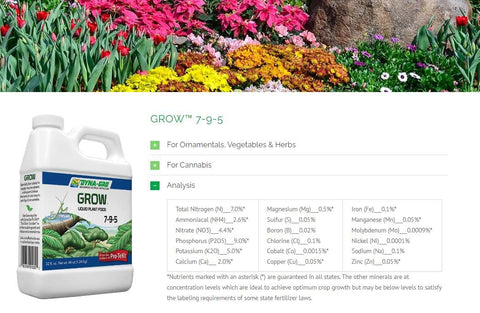 Dynagro Grow in hydroponics delivers balanced nutrition for steady growth.