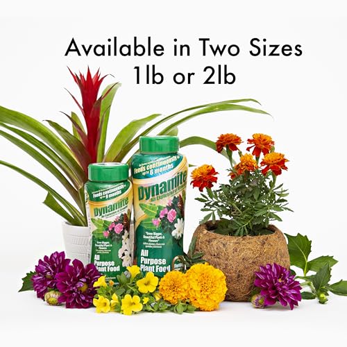 Dynamite 9-month continuous feeding supports healthy growth.