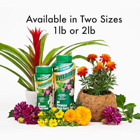 Dynamite 9-month continuous feeding supports healthy growth.