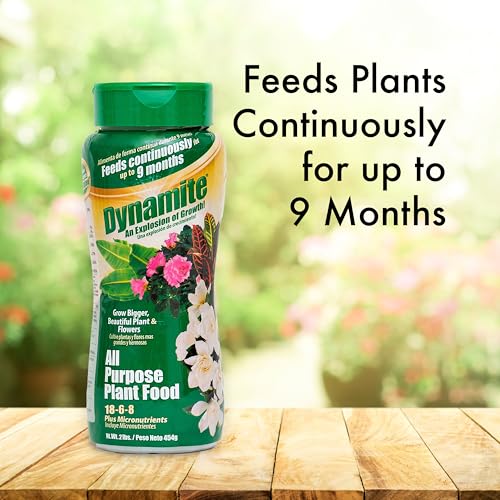 Dynamite all-purpose plant food bottle ready for continuous garden feeding.