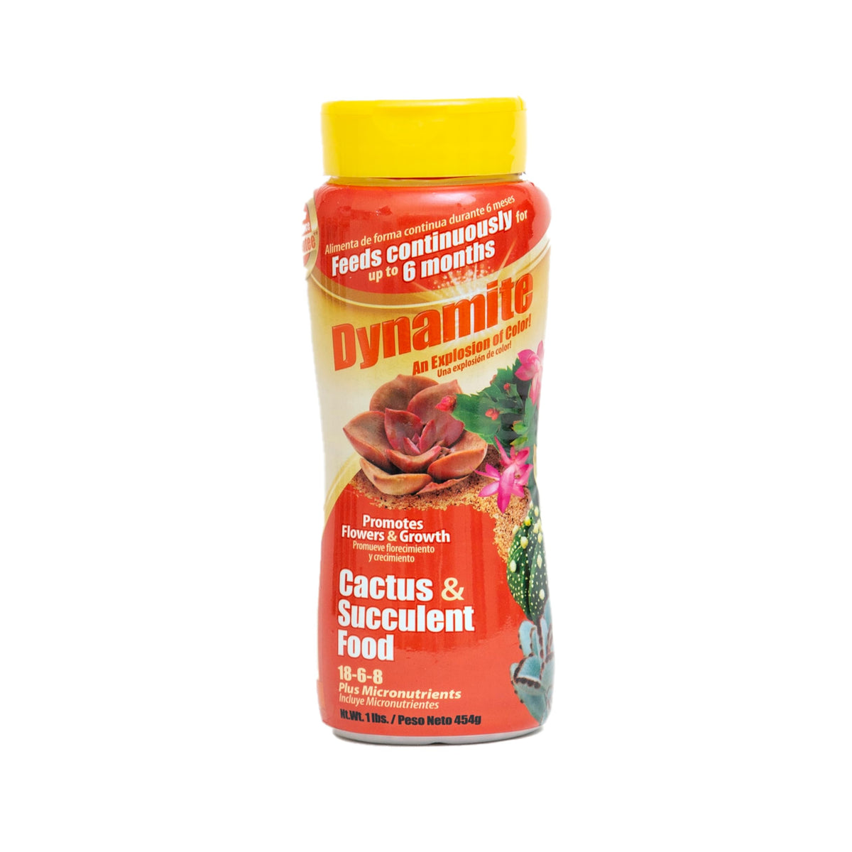 Dynamite Cactus & Succulent Food bottle with balanced nutrition for thriving plants.