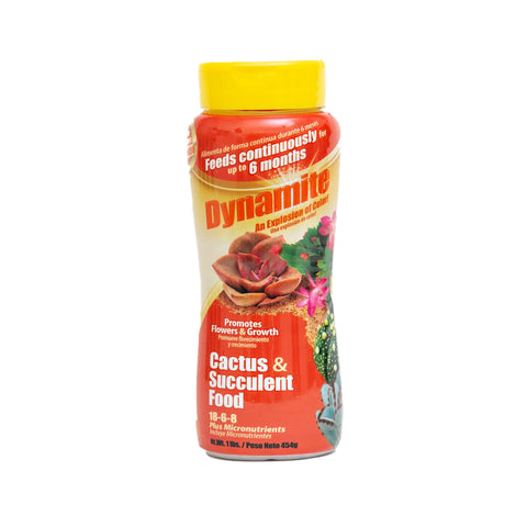 Dynamite Cactus & Succulent Food bottle with balanced nutrition for thriving plants.