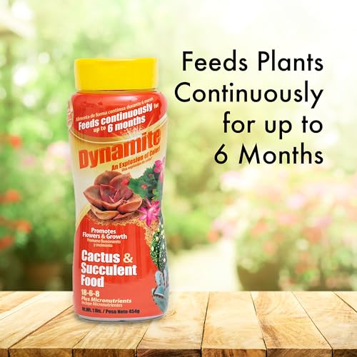 Dynamite Cactus & Succulent Food shaker lid enabling easy, even application.
