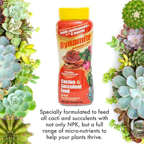 Dynamite Cactus & Succulent Food being sprinkled onto cactus soil for continuous feeding.