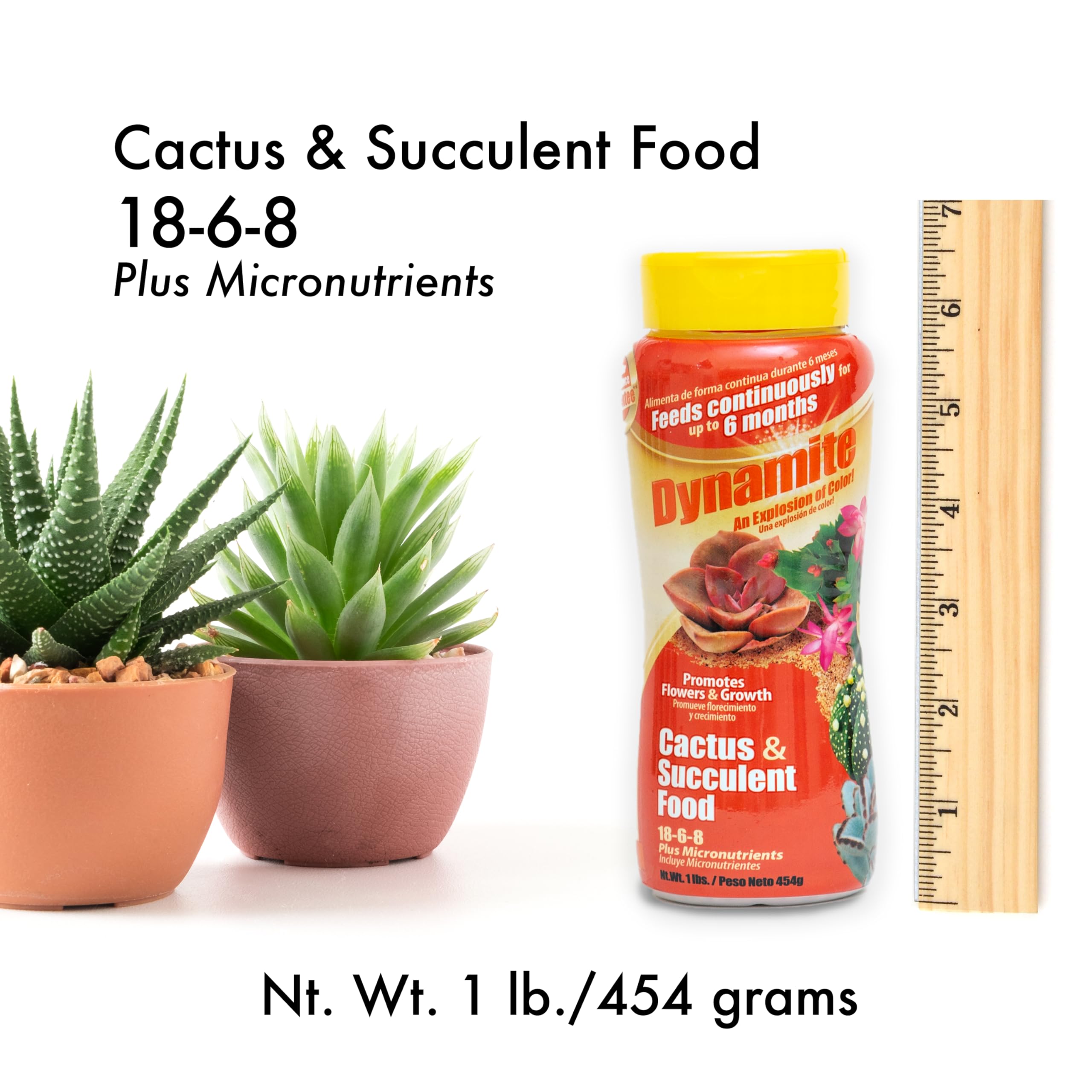 Dynamite formula provides micronutrients for vibrant color in succulents.