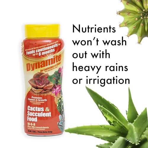 Indoor succulents benefit from Dynamite nourishment with indoor use.