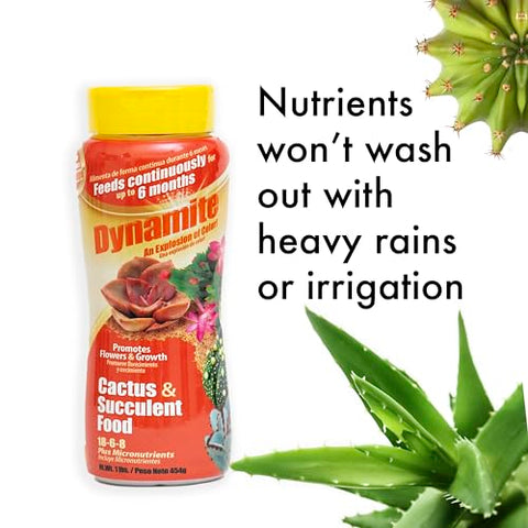 Indoor succulents benefit from Dynamite nourishment with indoor use.