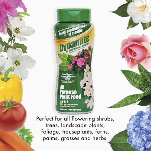 Dynamite essential micronutrients promote balanced plant nutrition.
