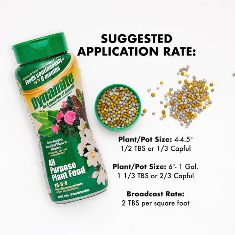Dynamite nourishment for flowering trees and shrubs supports stronger branches.