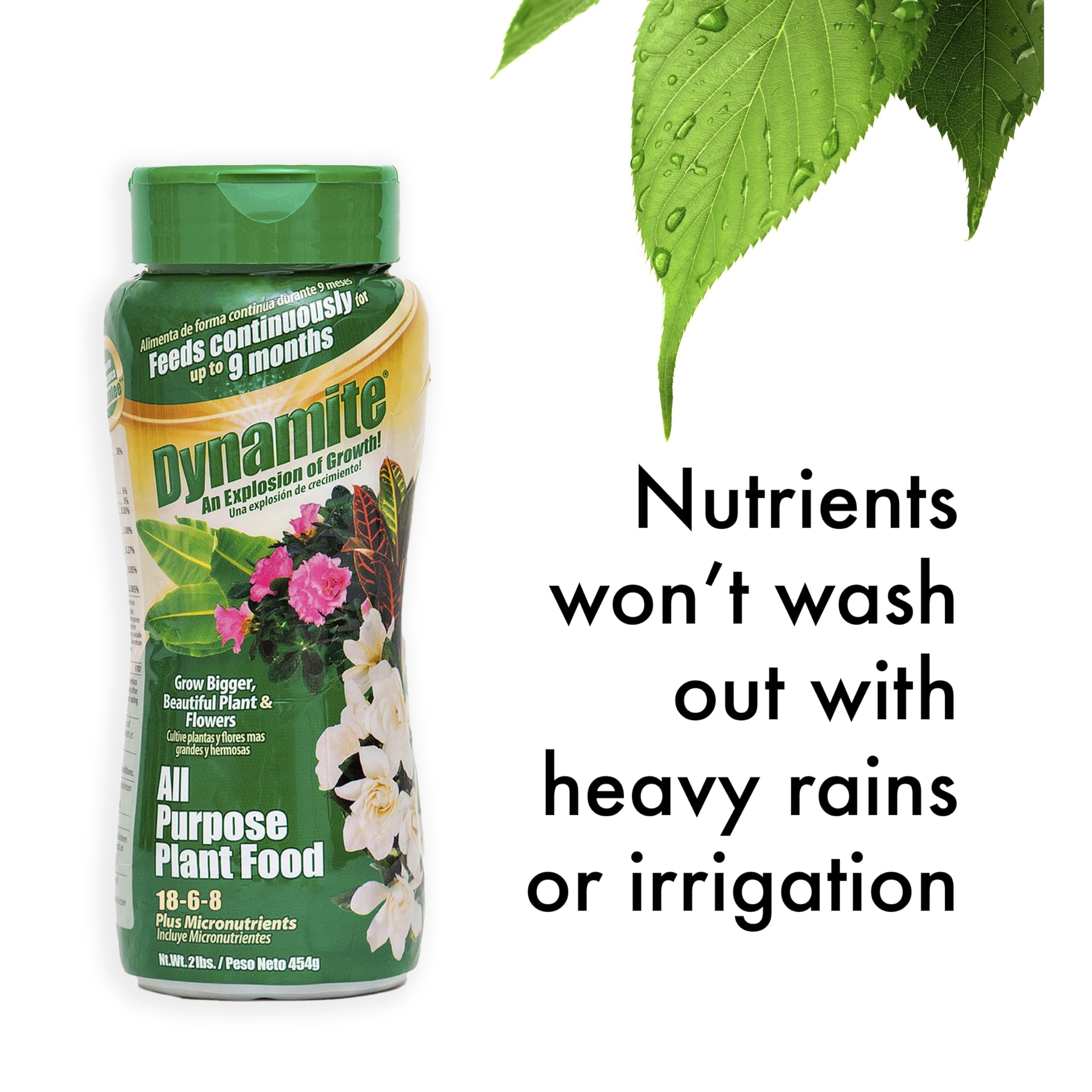 Dynamite suitable for houseplants ferns palms nourishment boosts vitality.
