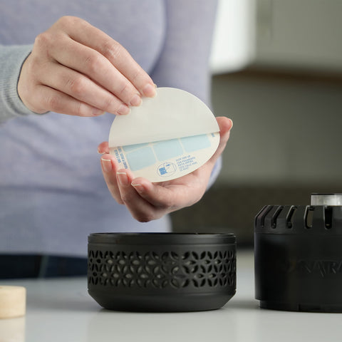 StickyTech glue card inside the Dynatrap basket keeps insects hidden