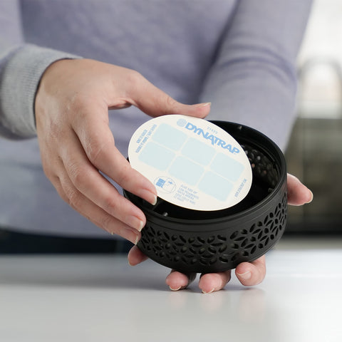 Discreet trap maintenance with Dynatrap StickyTech glue card