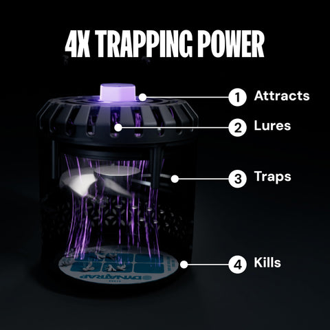 DT152's UV-LED lights provide 360-degree visibility to insects.