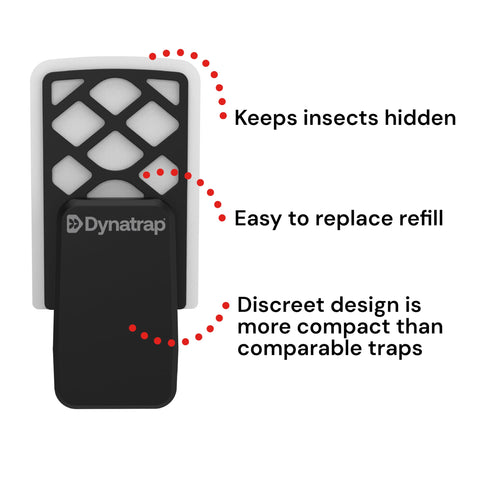 Back-side glue card keeps captured insects out of sight.