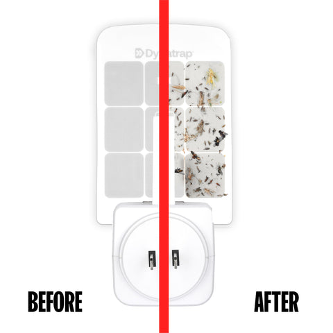 Dynatrap DT3007W plug-in image demonstrates easy setup in a standard outlet