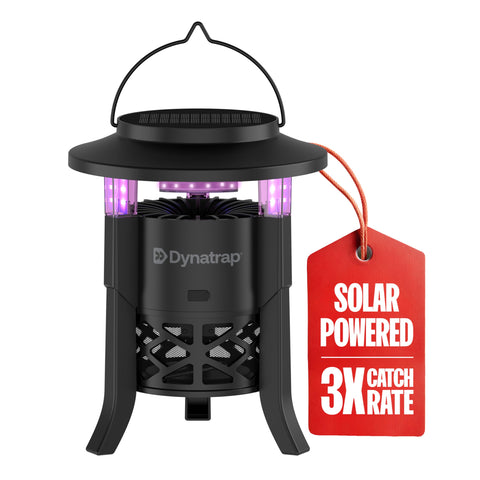DynaTrap quarter-acre LED solar bug trap demonstrating broad outdoor coverage