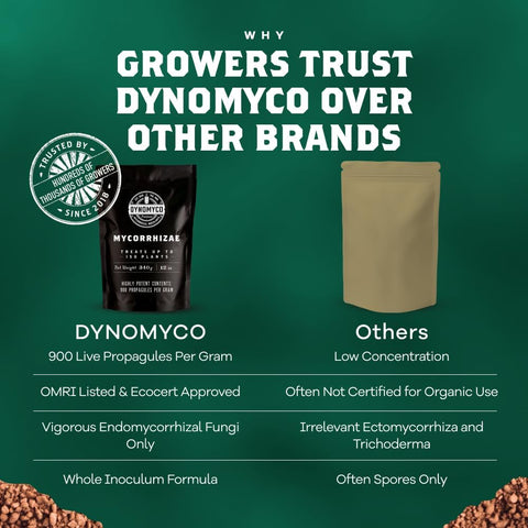 DYNOMYCO root growth close-up depicts thicker feeder roots.
