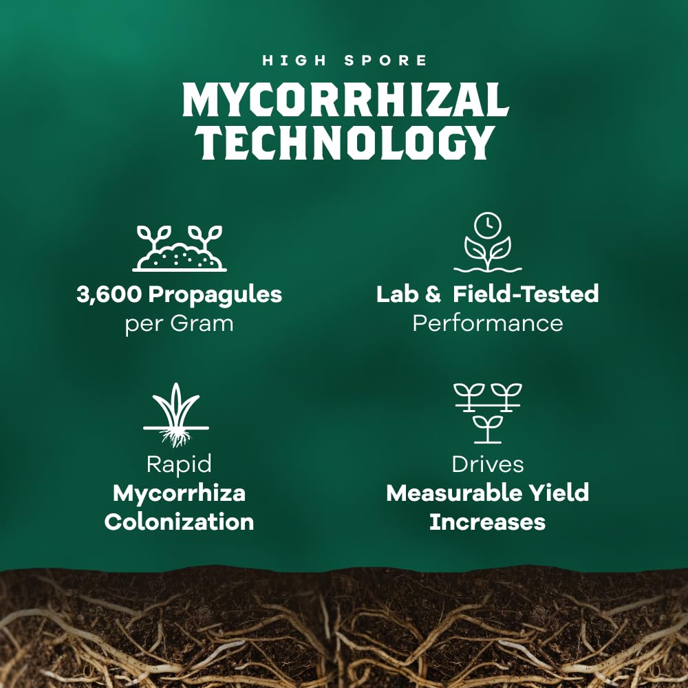 Dynomyco Spark fosters healthier harvests with thicker feeder roots and improved nutrient access.