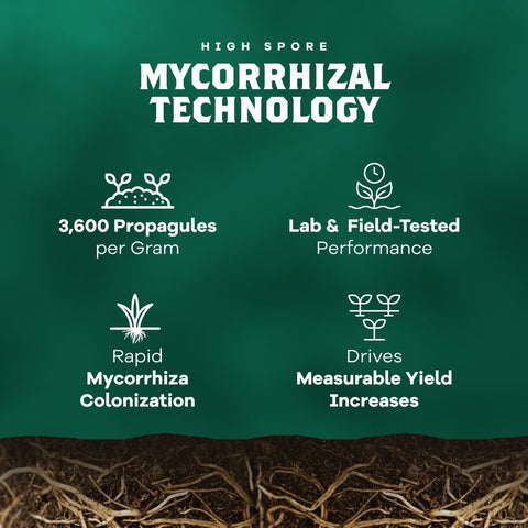Dynomyco Spark fosters healthier harvests with thicker feeder roots and improved nutrient access.
