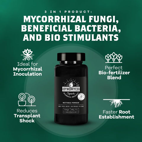Dynomyco Spark supports seed starting soil with reliable mycorrhizal colonization.
