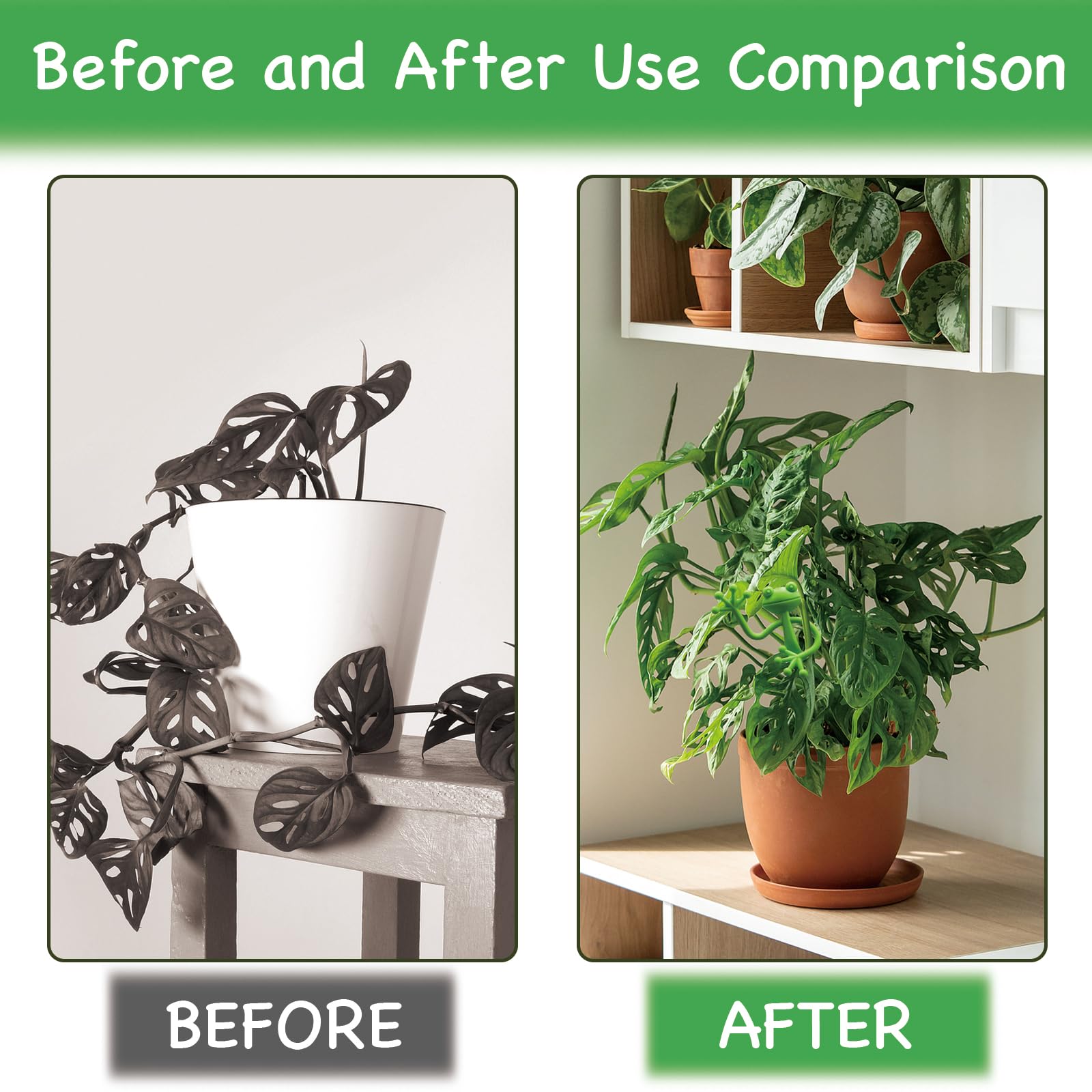 DYULJS Frog Plant Hugger in pot enhances decor and growth guidance