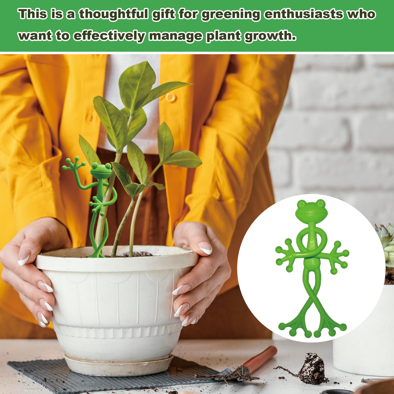 DYULJS Frog Plant Stand gift-ready packaging for garden lovers