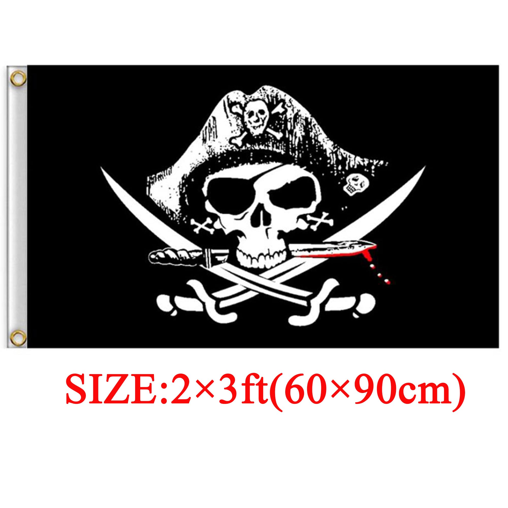Dyung Tec pirate flag two-pack ready for pirate-themed party decorations.