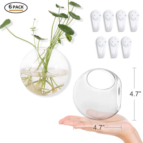 DZHJKIO air-plant terrarium setup ideal for desktop displays