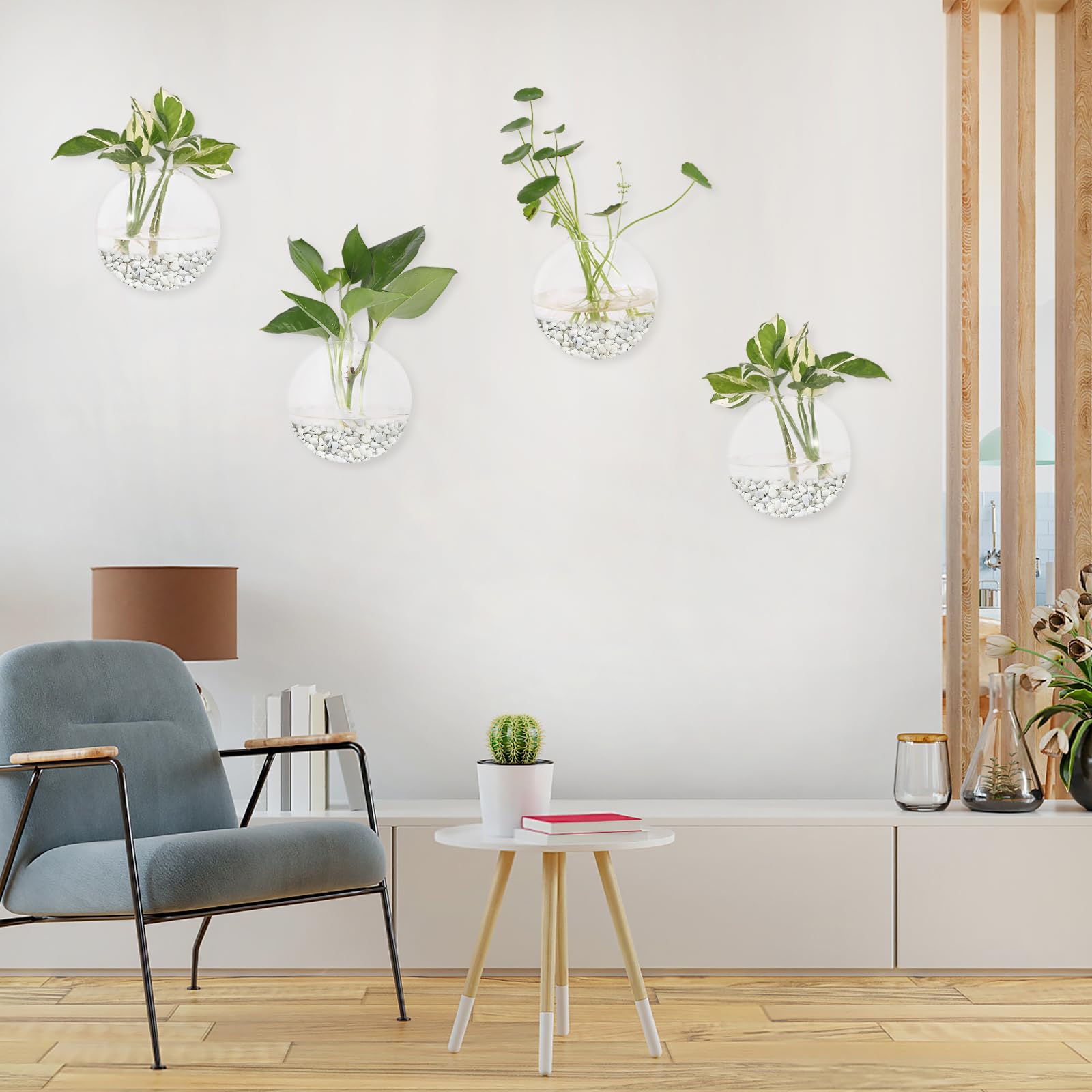DZHJKIO gift-ready plant lover pack for housewarmings and birthdays