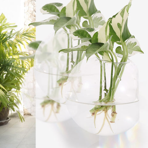 DZHJKIO removable glass planter for simple daily cleaning and care