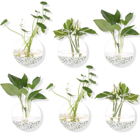 DZHJKIO wall-hanging glass planter round 6-pack for space-saving indoor greenery