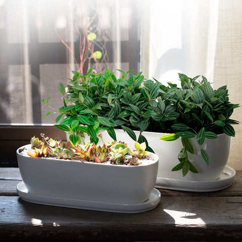 E-liu oval ceramic planter durable fortified clay resists scratches.